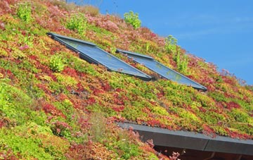 Fell Side living roof systems